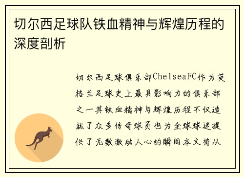 切尔西足球队铁血精神与辉煌历程的深度剖析